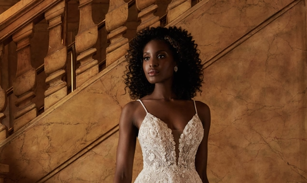 Lace Magic: Capturing the Allure of Textured Lace Embellishments Image